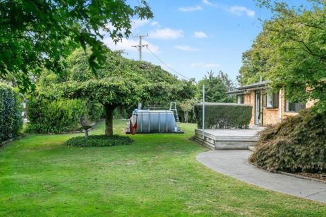 Photo of property in 17 Amber Lane, Karapiro, Cambridge, 3494