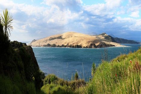 Photo of property in 1052 Wekaweka Road, Waimamaku, Kaikohe, 0473