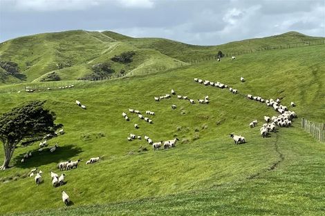 Photo of property in 429 Te Akau South Road, Te Akau, Ngaruawahia, 3793
