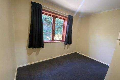 Photo of property in 161 The Ridgeway, Mornington, Wellington, 6021