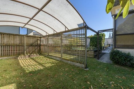 Photo of property in 213 Fourteenth Avenue, Tauranga South, Tauranga, 3112