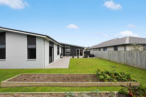 Photo of property in 224 Cumberland Drive, Flagstaff, Hamilton, 3210