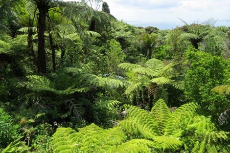 Photo of property in 536 Tuateawa Road, Tuateawa, Coromandel, 3583
