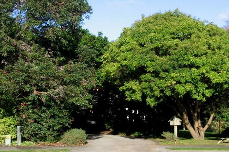 Photo of property in 19 Leybourne Avenue, Waikanae, 5036