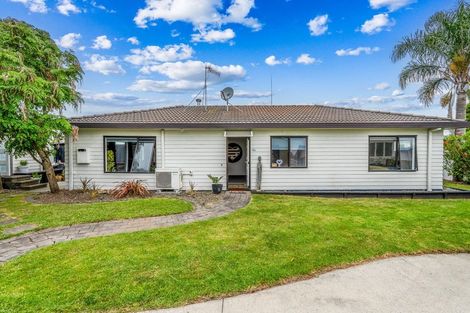 Photo of property in 16a Links Avenue, Mount Maunganui, 3116