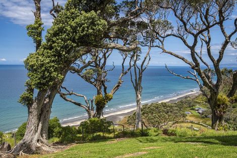 Photo of property in 21 Tangaroa Road, Mangawhai Heads, Mangawhai, 0505