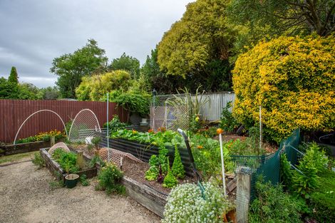 Photo of property in 43 Taverner Street, Carterton, 5713