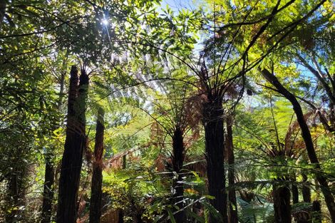 Photo of property in 67e Blue Spur Road, Blue Spur, Hokitika, 7882