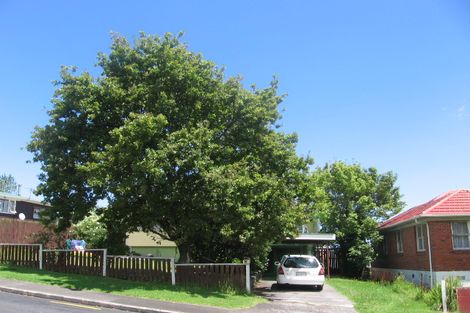 Photo of property in 54 Portman Road, Mount Wellington, Auckland, 1060