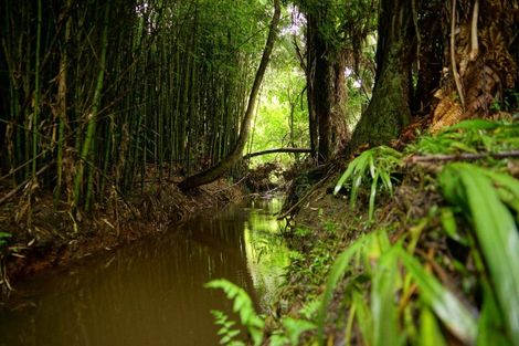 Photo of property in 86 Taha Road, Waimauku, 0881