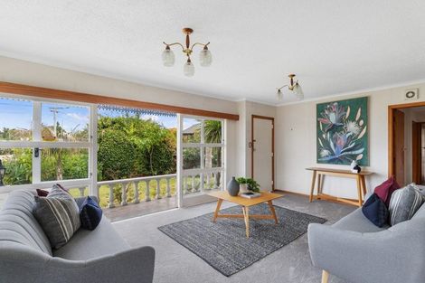 Photo of property in 91 Fitzroy Avenue, Fitzroy, Hamilton, 3206