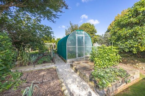 Photo of property in 89 Thorncombe Road, Te Awamutu, 3800