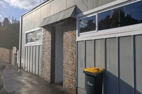 Photo of property in 474 South Road, Calton Hill, Dunedin, 9012