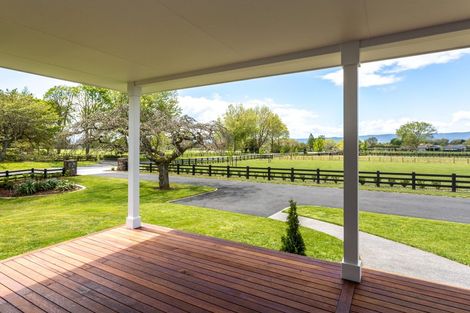 Photo of property in 173 Station Road, Matamata, 3472