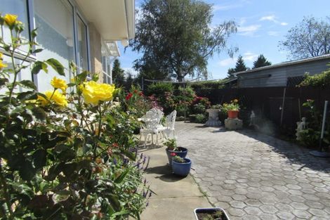 Photo of property in 12b Paul Street, Waimate, 7924