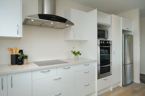 Photo of property in 8a Sheen Street, Roslyn, Dunedin, 9010