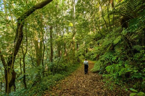 Photo of property in 125 Boscabel Drive, Ohauiti, Tauranga, 3112