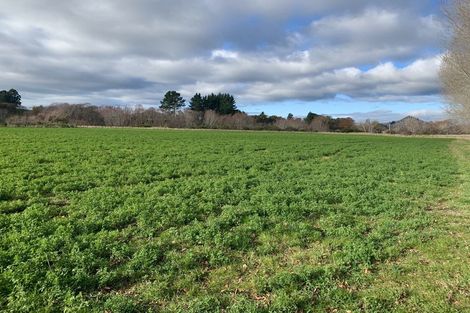 Photo of property in 460 Palmerston-dunback Road, Glenpark, Palmerston, 9483