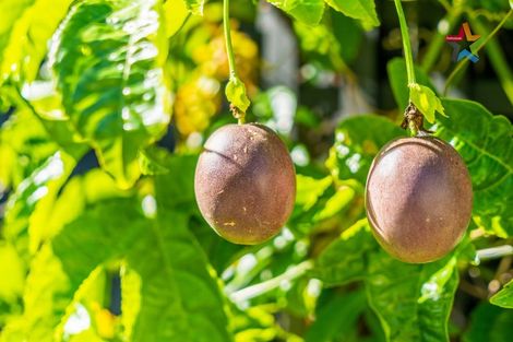 Photo of property in 7 Charles Street, Belmont, Lower Hutt, 5010