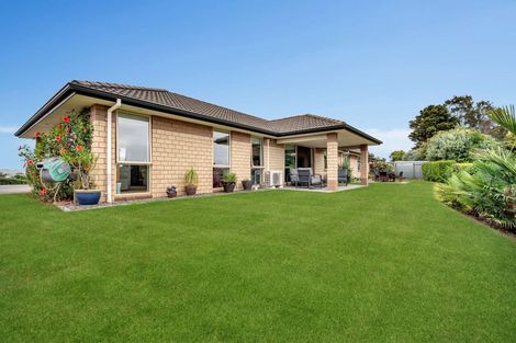 Photo of property in 12 Omana Avenue, Shelly Beach, Helensville, 0874