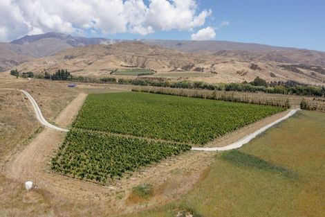 Photo of property in 49 Awahokomo Road, Kurow, 9435