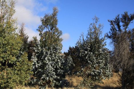 Photo of property in 178 Fay Lane, Queensberry, Cromwell, 9383