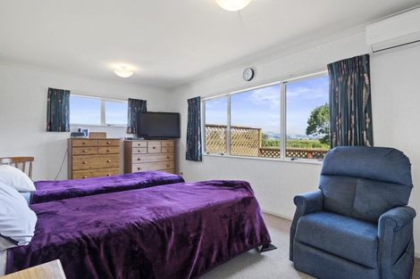 Photo of property in 145 Tramline Road, Patetonga, Morrinsville, 3373