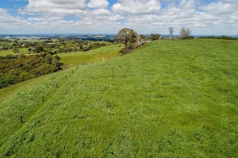 Photo of property in 380 Gleeson Road, Pollok, 2683