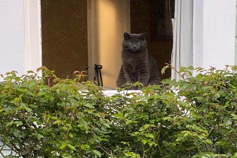 Photo of property in 12a Malcolm Street, Martinborough, 5711