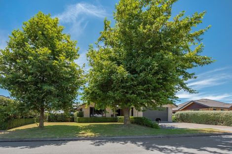 Photo of property in 29 Tremorne Avenue, Blenheim, 7201