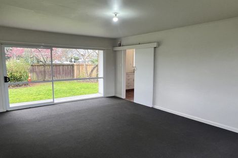 Photo of property in 163 River Road, Hamilton East, Hamilton, 3216
