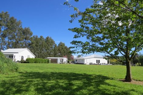 Photo of property in 16 Dalefield Road, Carterton, 5713