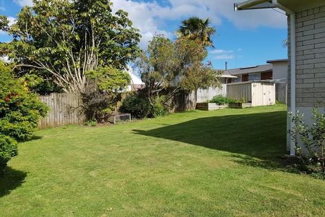 Photo of property in 145 Seddon Street, Pukekohe, 2120