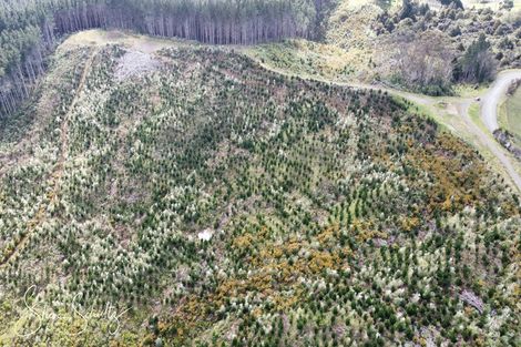 Photo of property in 872 Bickerstaffe Road, Maungaturoto, 0587