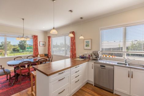 Photo of property in 102 Mount Herbert Road, Waipukurau, 4200