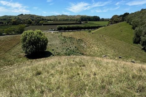 Photo of property in 165 Breckenridge Road, Puketapu, Napier, 4183