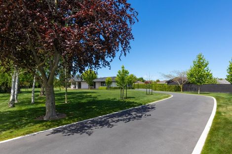 Photo of property in 78 Murphys Road, Springlands, Blenheim, 7201