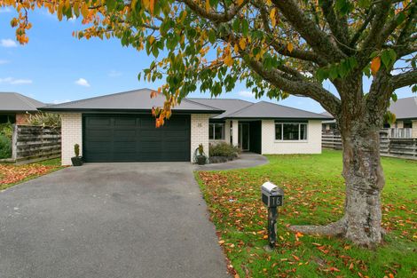 Photo of property in 16 Ashworth Place, Matamata, 3400
