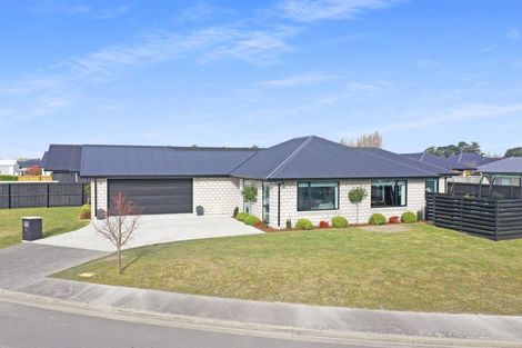 Photo of property in 6 Redhaven Rise, Netherby, Ashburton, 7700