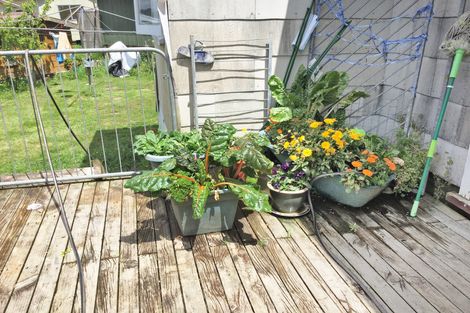 Photo of property in 55 Wattle Lane, Kaiwaka, 0573