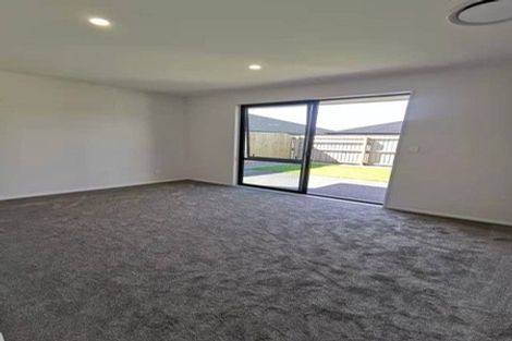 Photo of property in 17 Ensete Road, Wigram, Christchurch, 8025