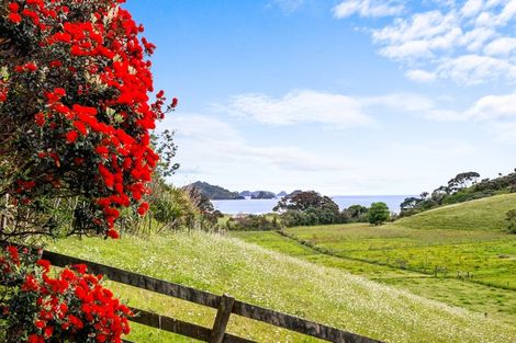 Photo of property in 168 Rockell Road, Whananaki, Hikurangi, 0181