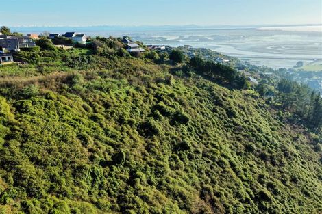 Photo of property in 20 Selleck Street, Mount Pleasant, Christchurch, 8081