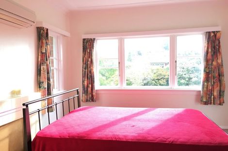 Photo of property in 45 Pacific Street, Roslyn, Dunedin, 9010