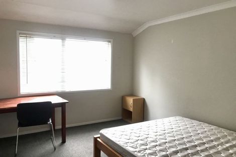 Photo of property in 59b Mountbatten Avenue, Hillcrest, Auckland, 0627