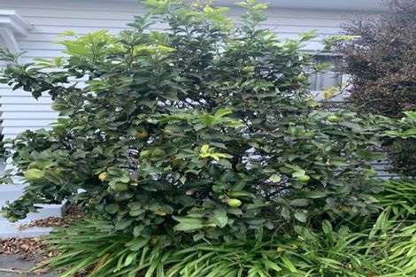 Photo of property in 136 Mersey Street, St Albans, Christchurch, 8014