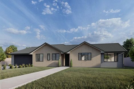 Photo of property in 100 Overdale Street, Putaruru, 3483