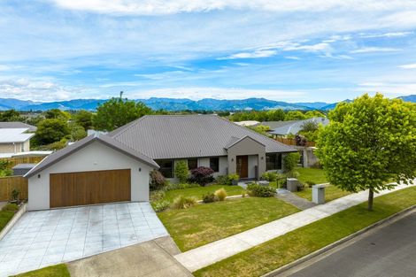 Photo of property in 38 Elmwood Avenue, Witherlea, Blenheim, 7201