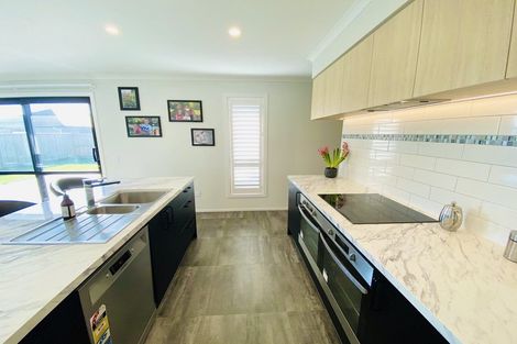 Photo of property in 60 Berryfield Drive, Richmond, 7020