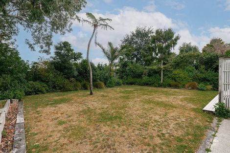 Photo of property in 24 Heatley Avenue, Hokowhitu, Palmerston North, 4410